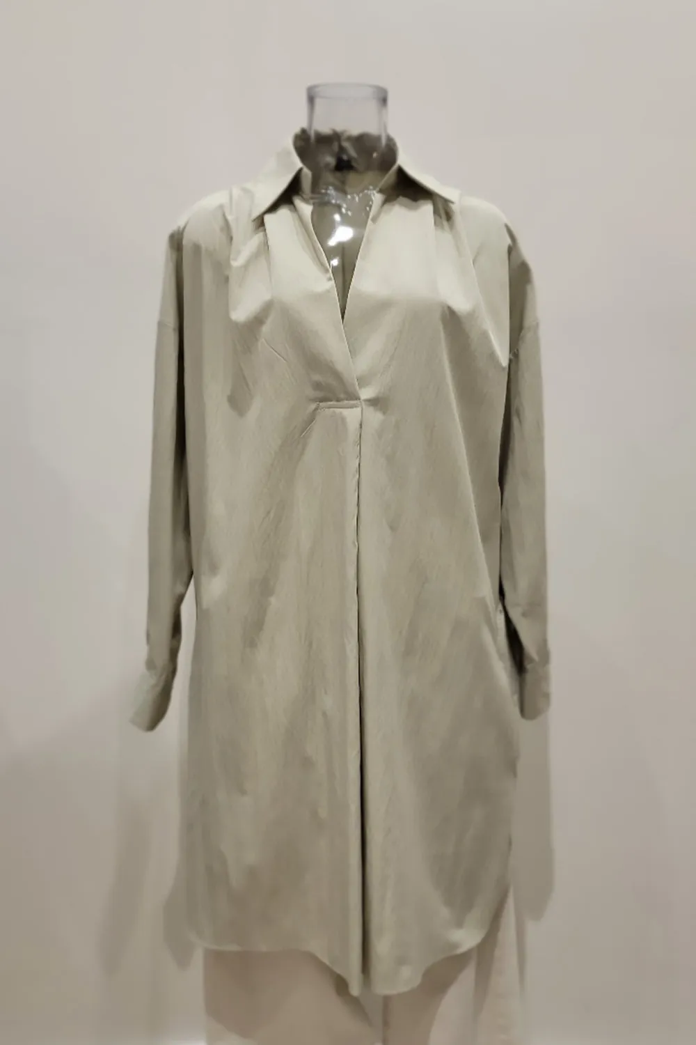 Renee Shirt Dress