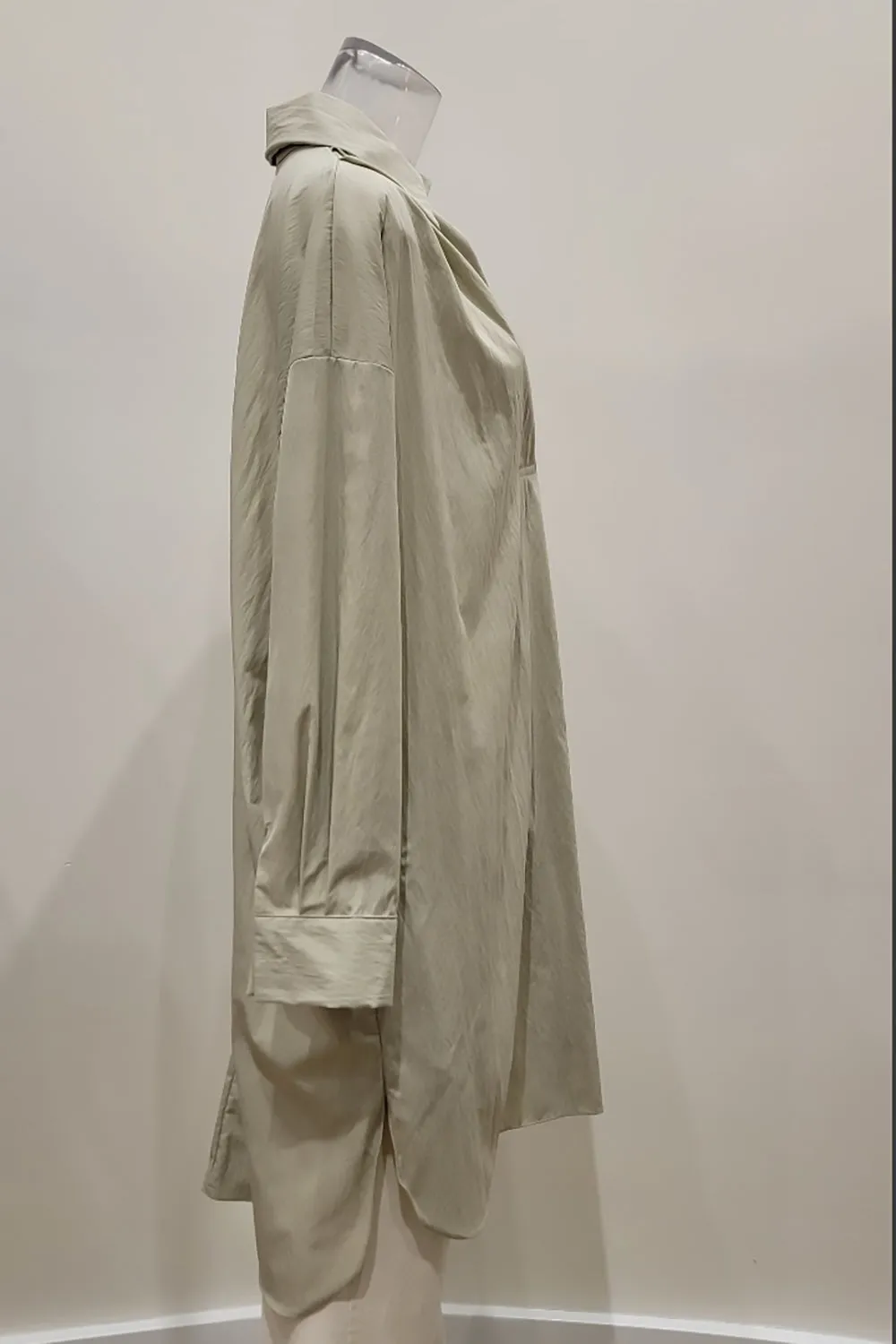 Renee Shirt Dress