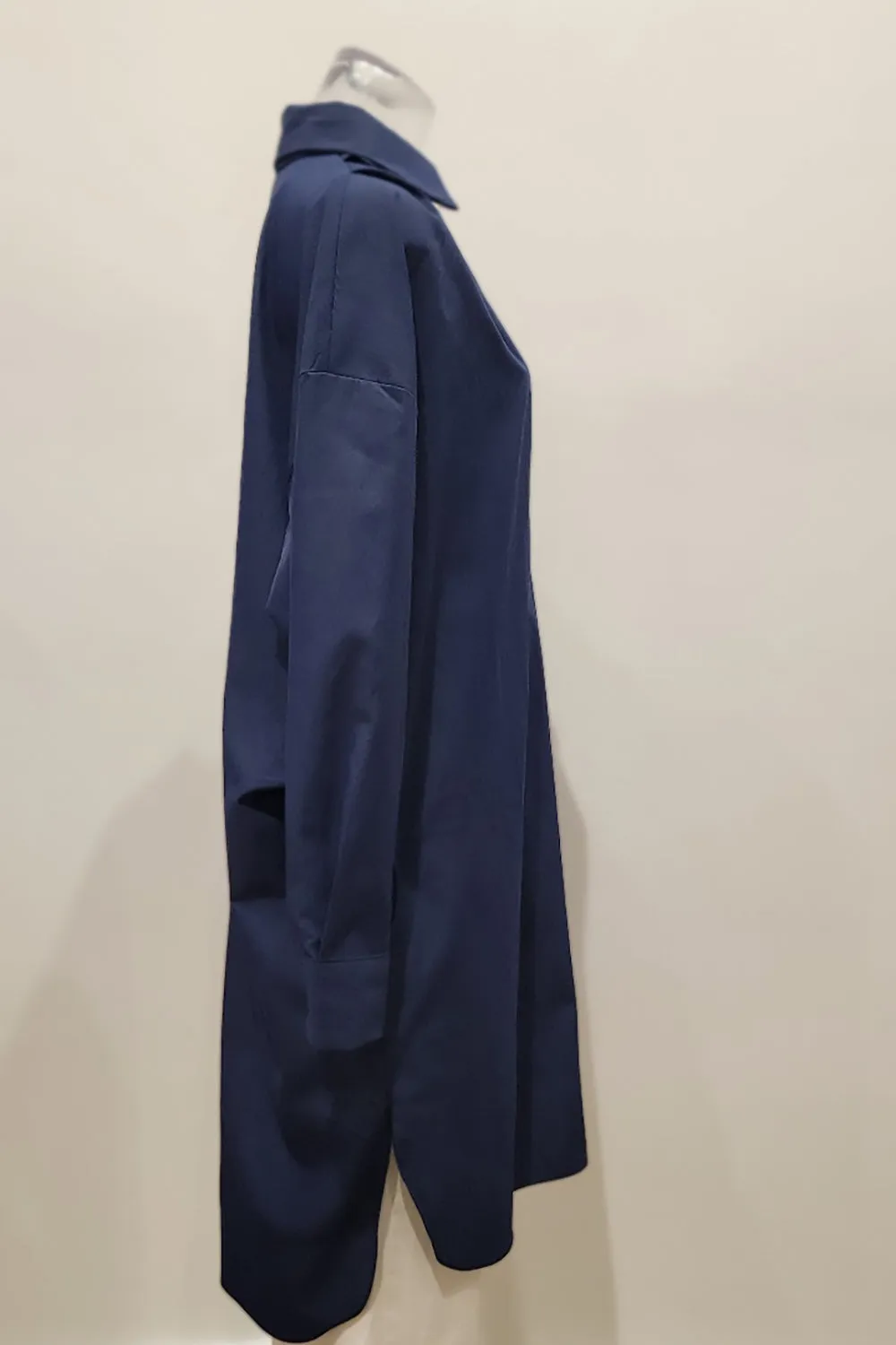 Renee Shirt Dress